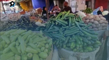 أسعار الطماطم والبطاطس في أسواق الإسكندرية اليوم